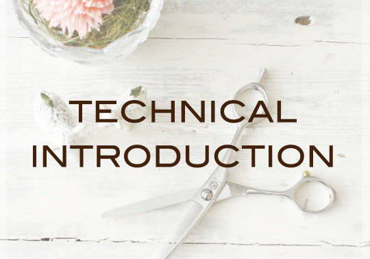 bn_technical_introduction
