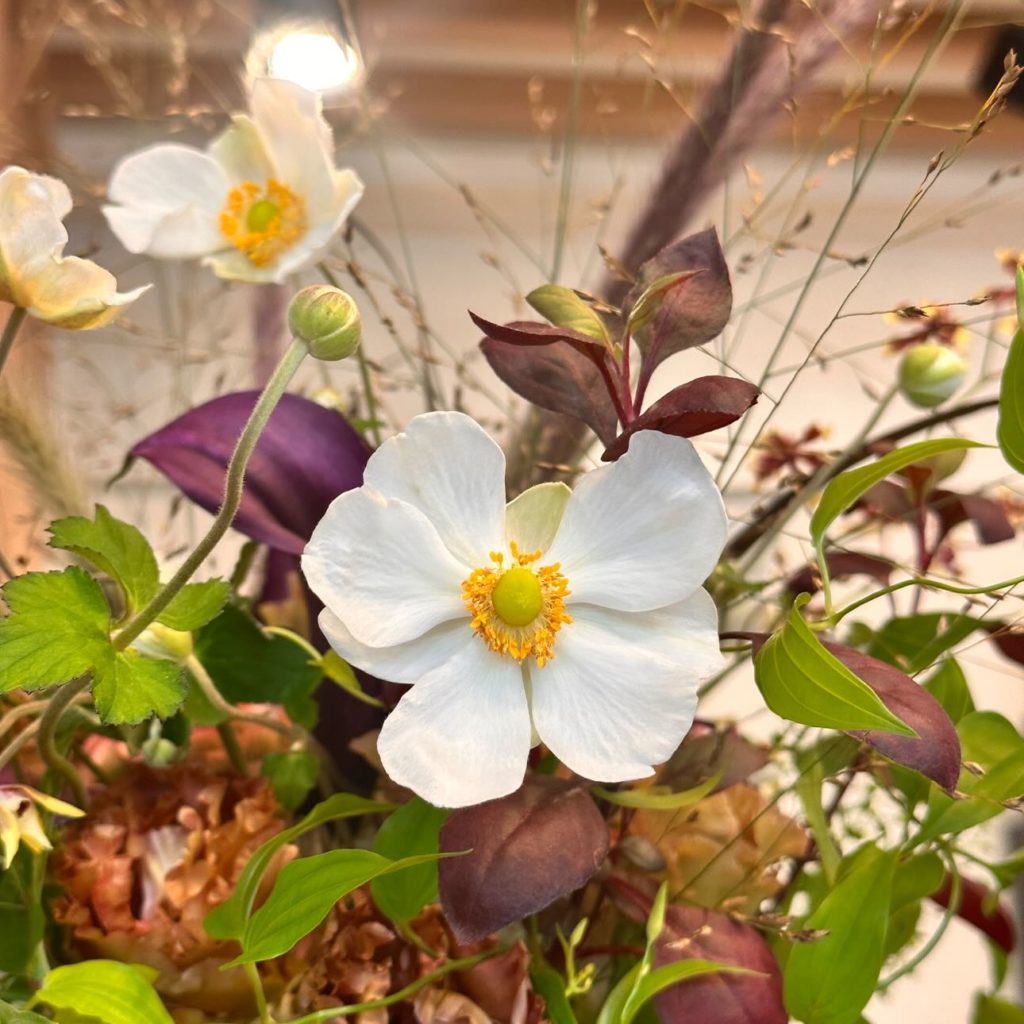 563204075_796897279974728_7873137376626283599_n