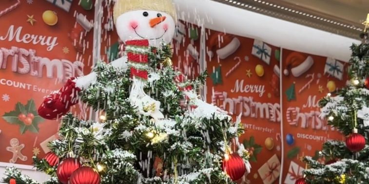 591781655_4257649211181184_4589034158181466697_n