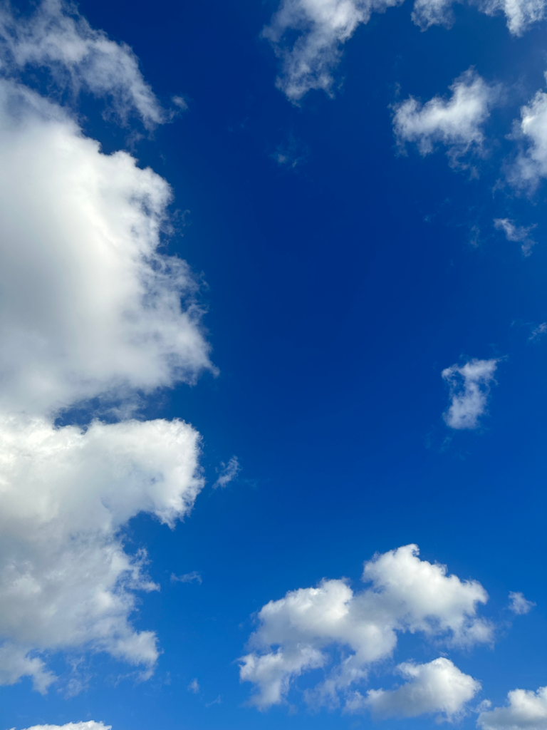 607110876_834398629571582_4733776288199445936_n