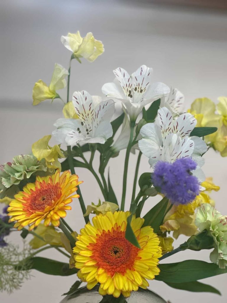 637243733_2697890127278339_1889007694030000667_n