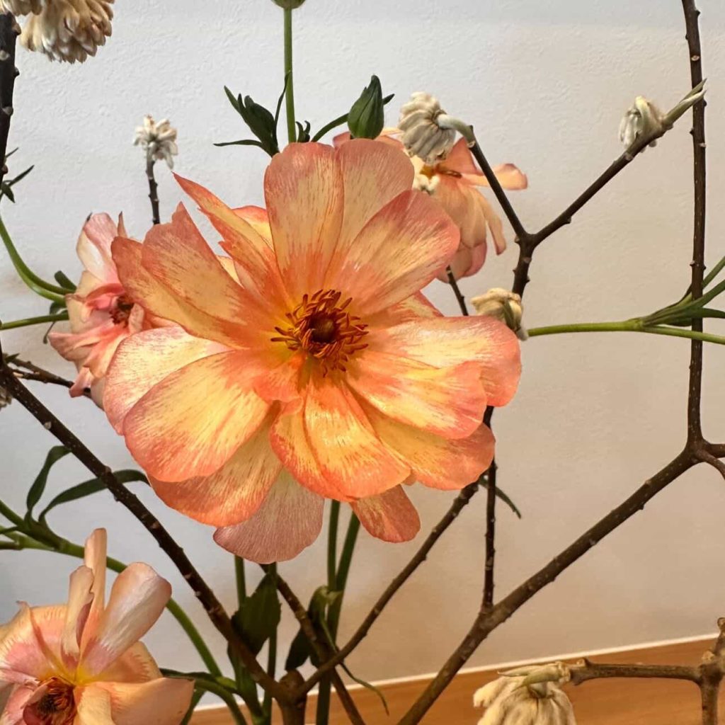 638243842_1149775967192278_6029639985999118668_n