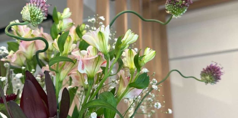 673263022_917182161134761_6040159002144176413_n